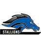 Jr Stallions Basketball